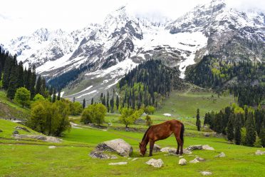 Pahalgam tour, Pahalgam tour packages, golden triangle tour, golden triangle India, Kashmir Tour, Kashmir Tour Packages.
